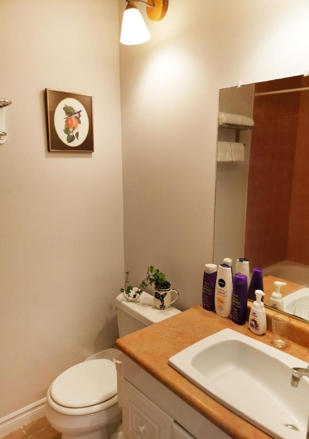 Cozy Private Rm Heart Of North York Free Parking Full Kitchen Close To Downtown Apartment Toronto Bagian luar foto